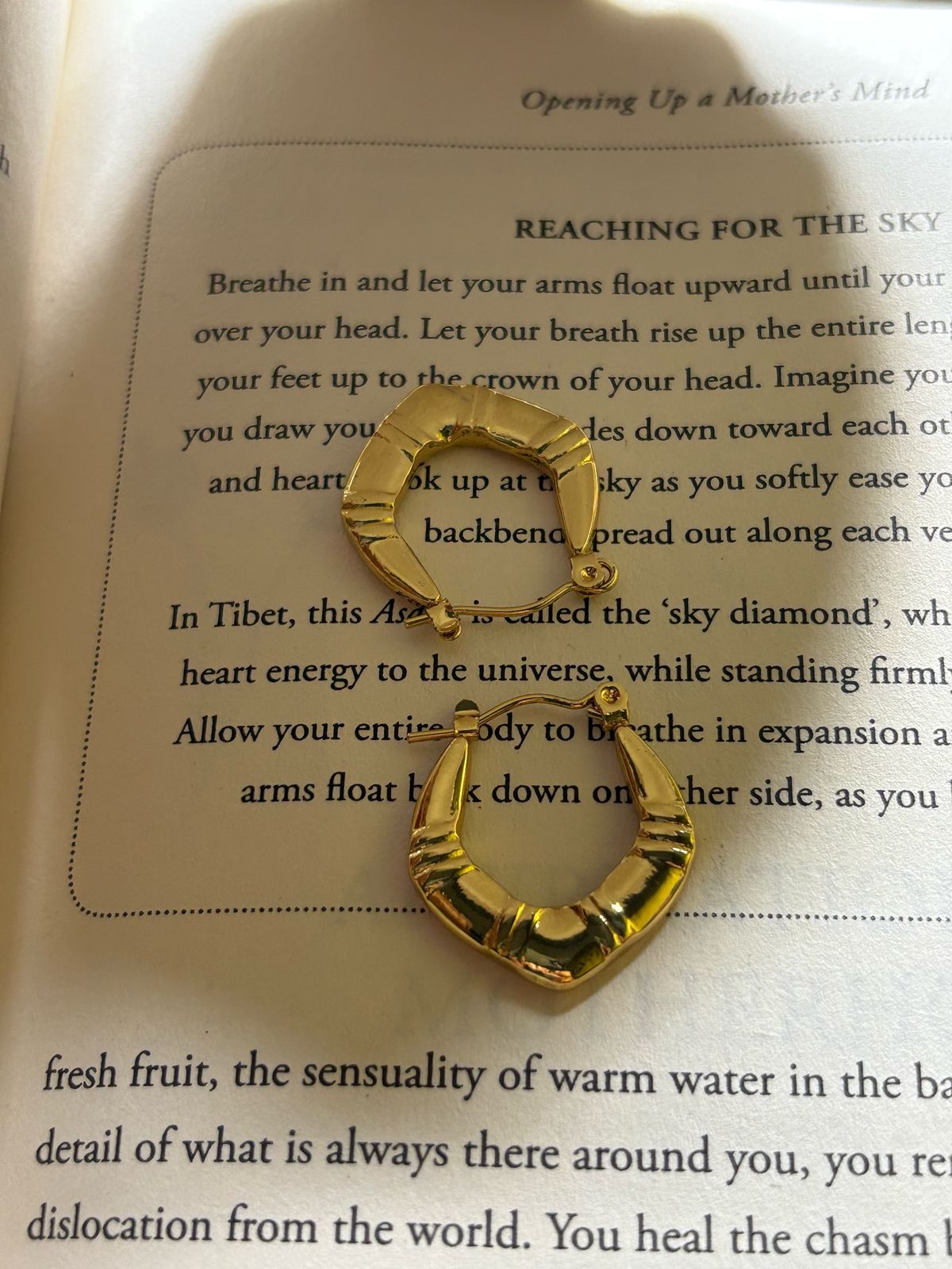 Anti-Tarnish Gold Earrings