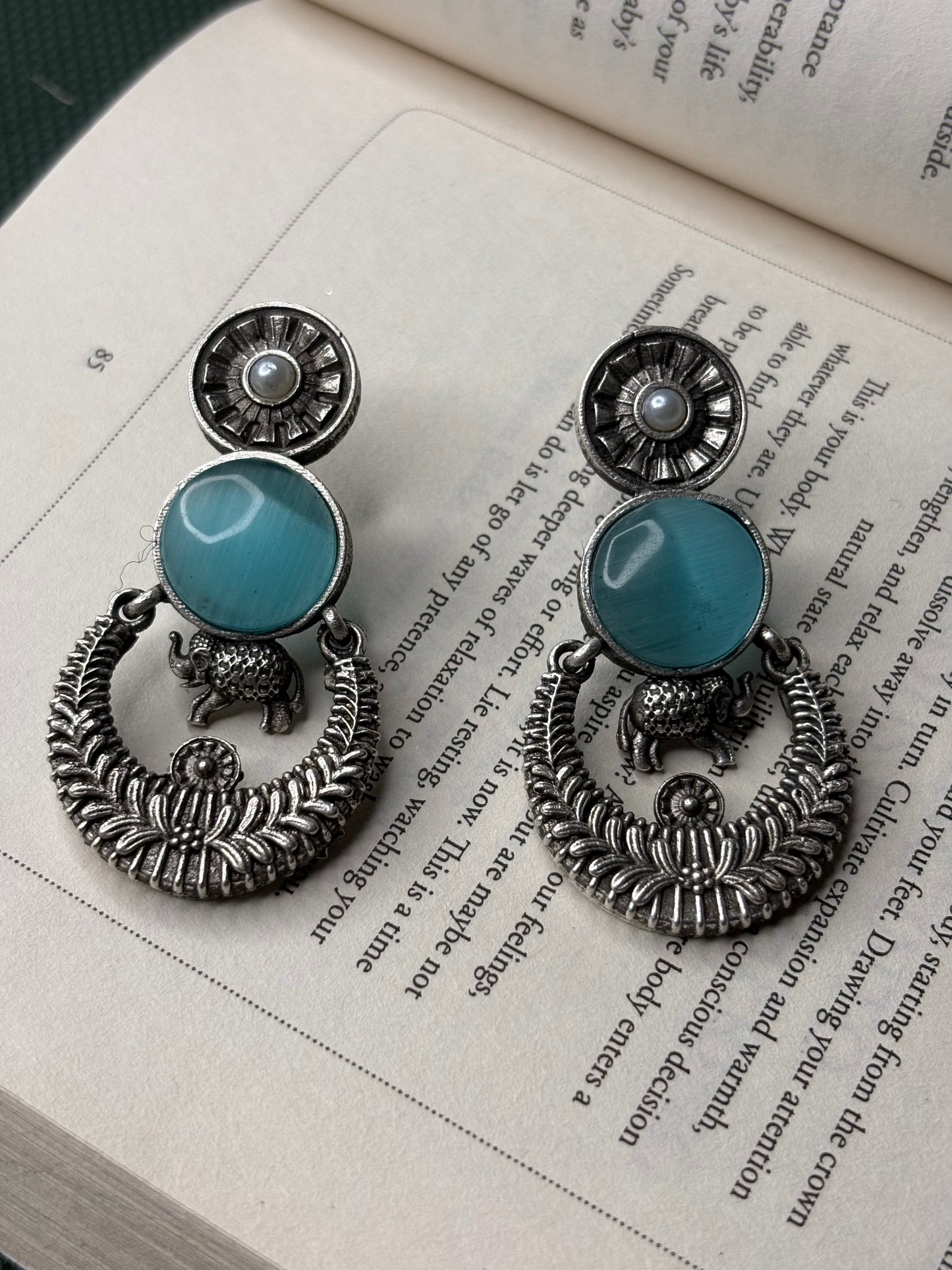 Silver Toned Colourful Earrings